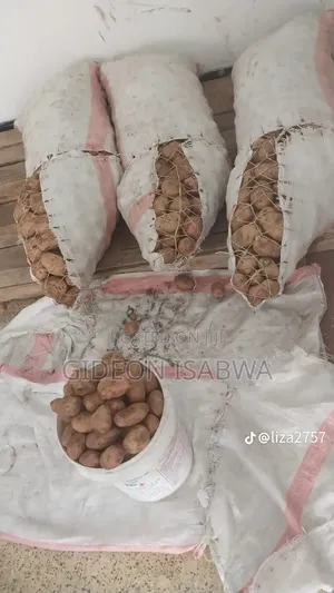 Food and Vegetable