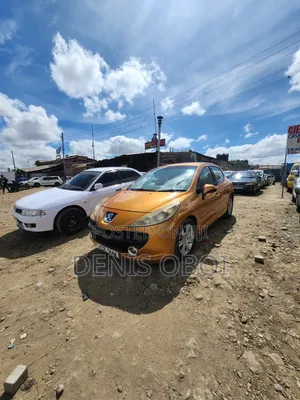 Peugeot 207 1.4 XR 2010 Orange