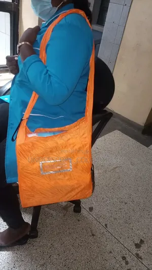 *Durable Reusable Roll Up Shopping Bag