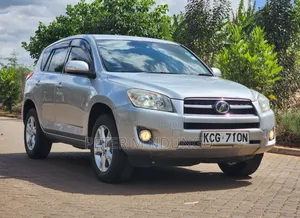 Toyota RAV4 2009 Silver