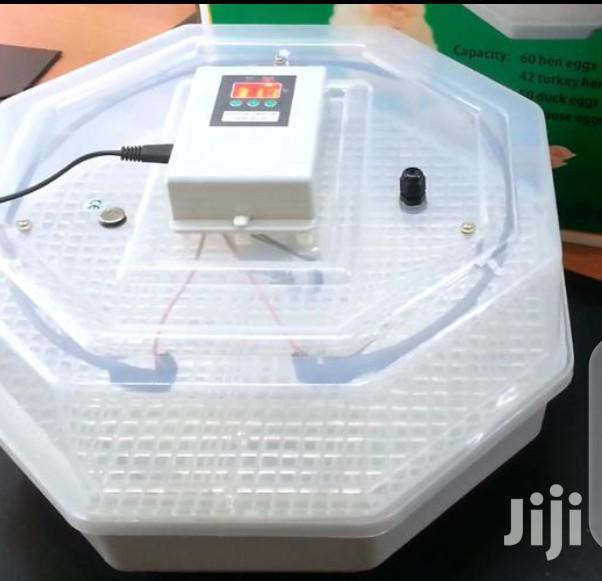 60 Egg Incubator Machines - main view