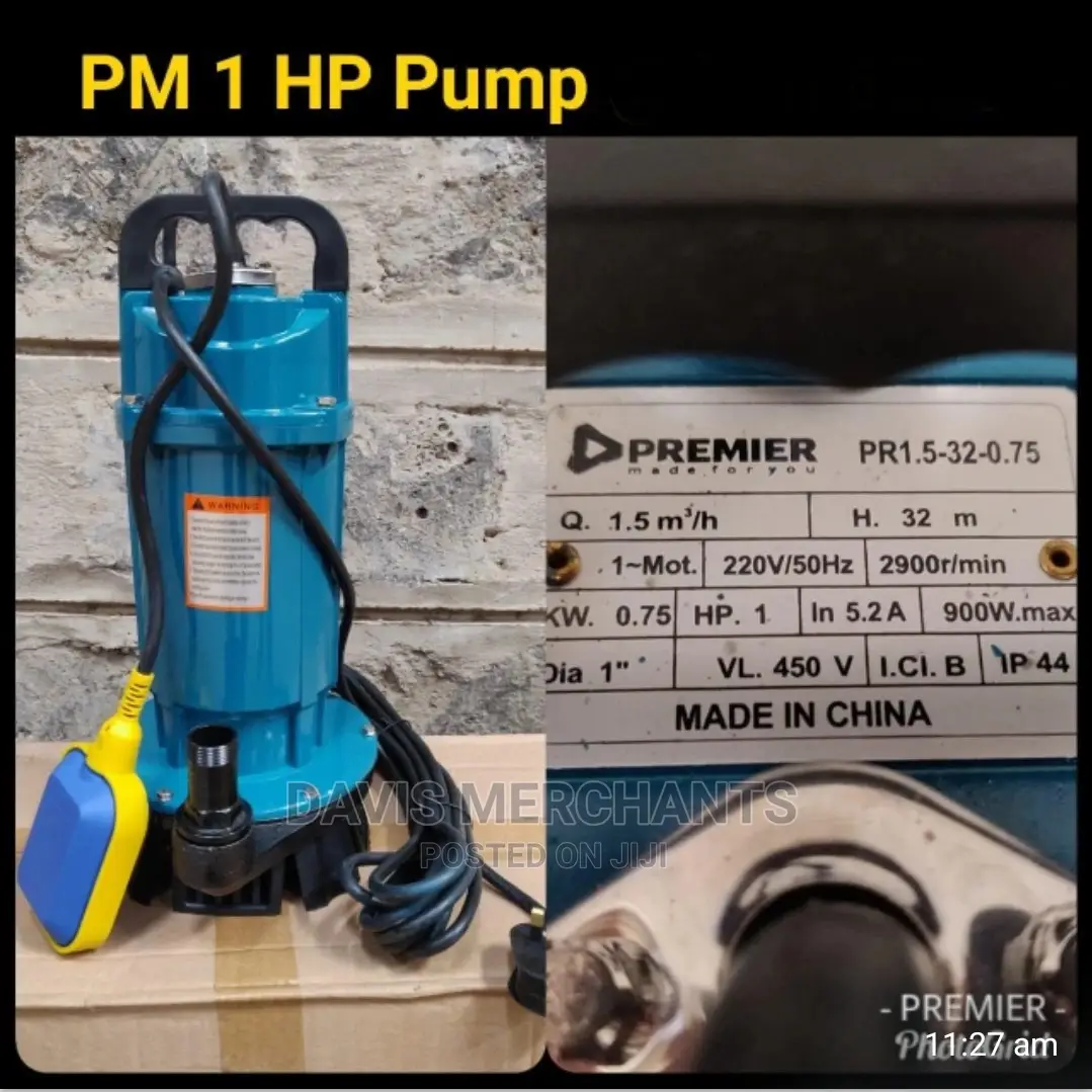 Premier Water Pump 1hp