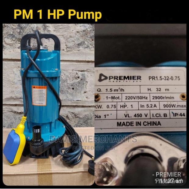 Premier Water Pump 1hp - main view