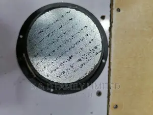 Woffer 4 Inch Naked Speaker