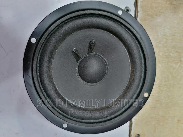 Woffer 4 Inch Naked Speaker - main view