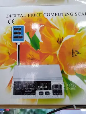 Digital Scale 30kg Handle