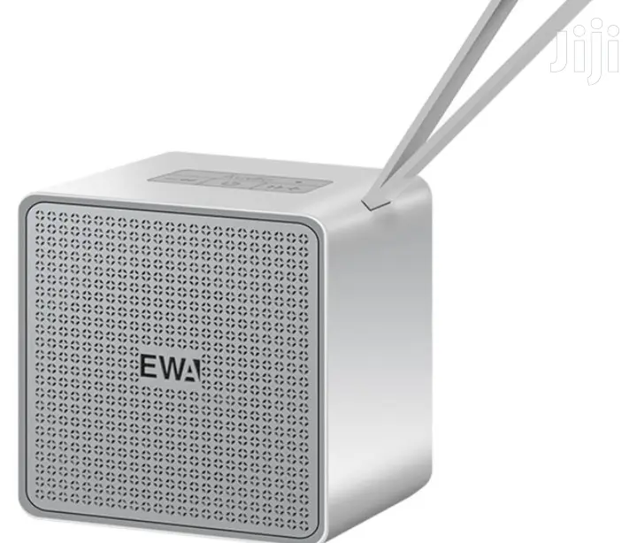 EWA A105 Portable Metallic Bluetooth Speaker.