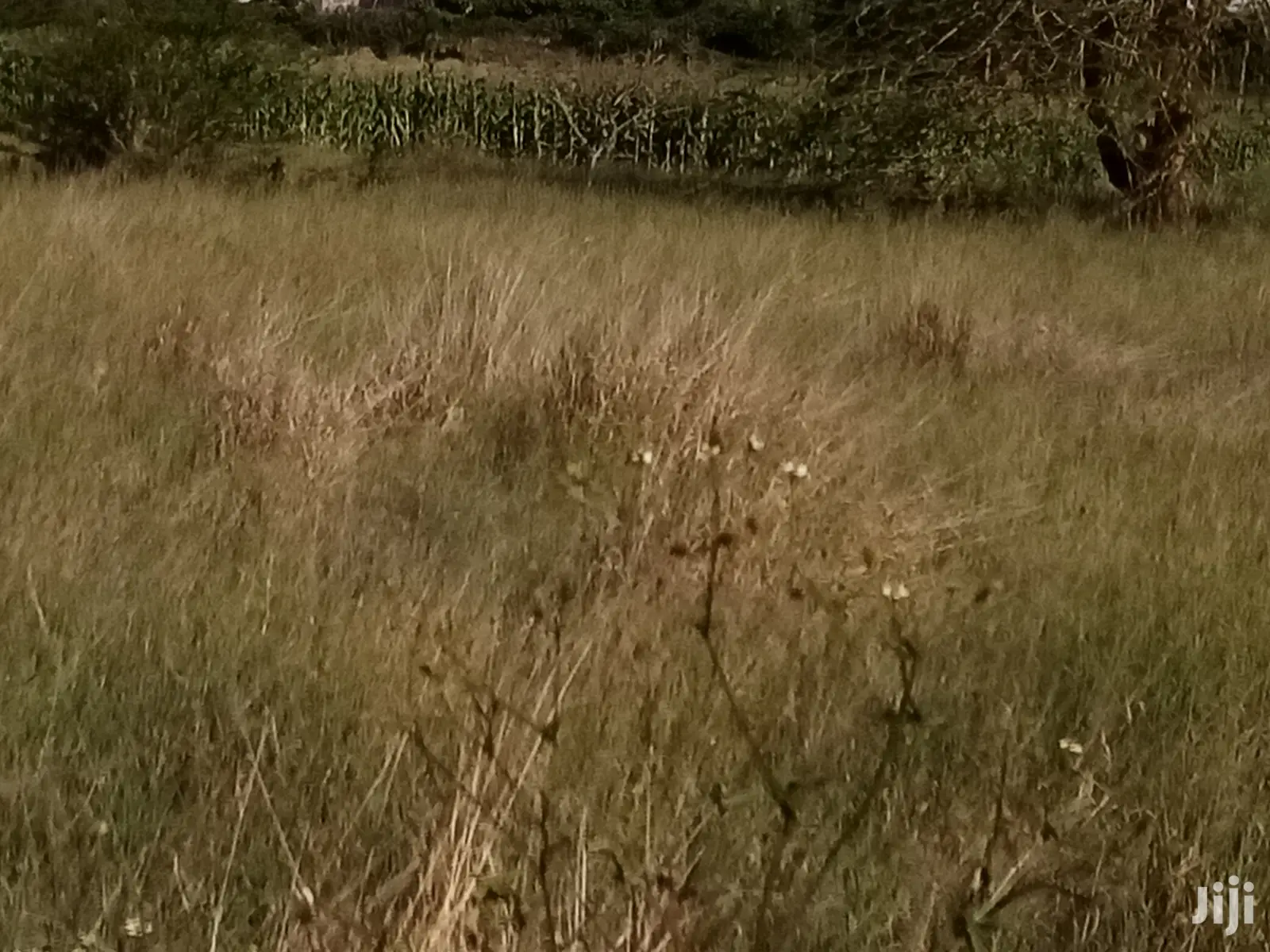 Joska 24 Acres For Sale Very Prime Land And Environment