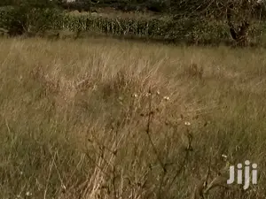 Joska 24 Acres For Sale Very Prime Land And Environment