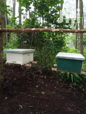 Beehives for Profit Making Investment