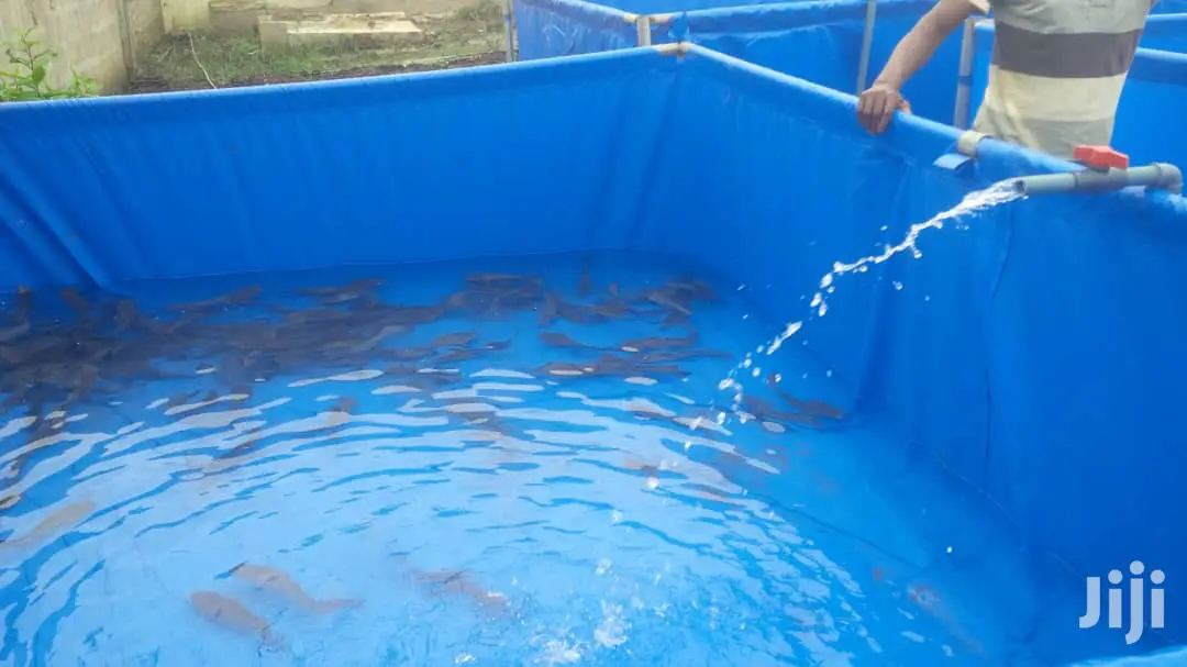 Collapsible Mobile Fish Tank / Pond