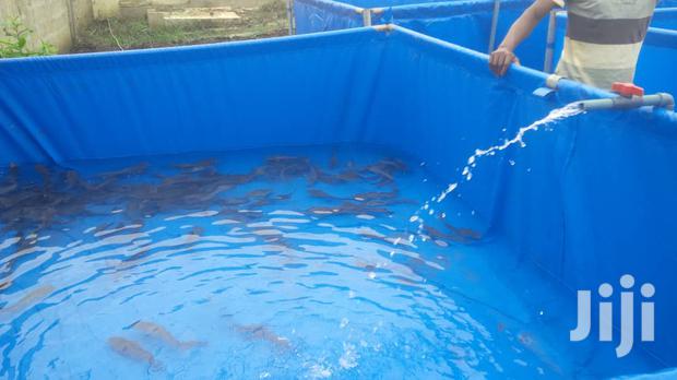 Collapsible Mobile Fish Tank / Pond - main view