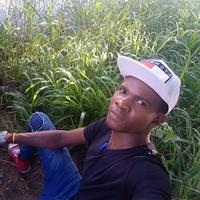 Shãrrõw Stêvêñs logo