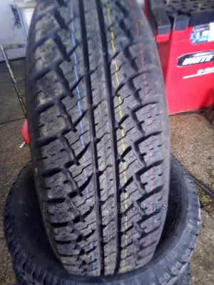 265/65 R 17 Maxtrek Tyres