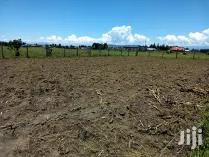 Plot for Sale in LANET Muwa Estate