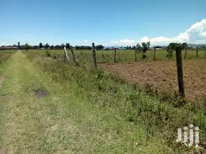 Plot for Sale in LANET Muwa Estate