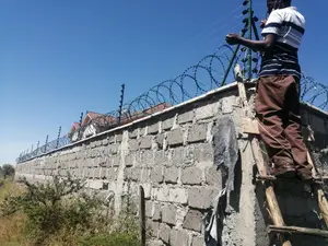 Double Galvanised Green Razor Wire