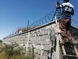 Double Galvanised Green Razor Wire