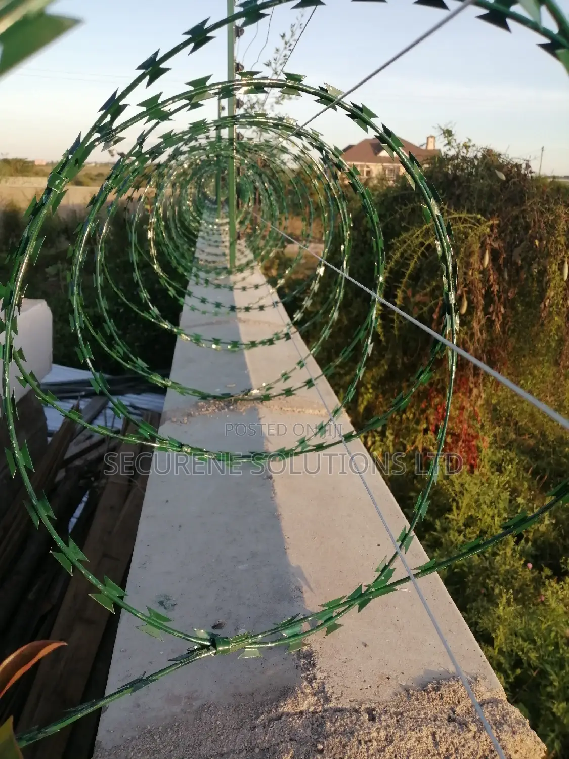Double Galvanised Green Razor Wire
