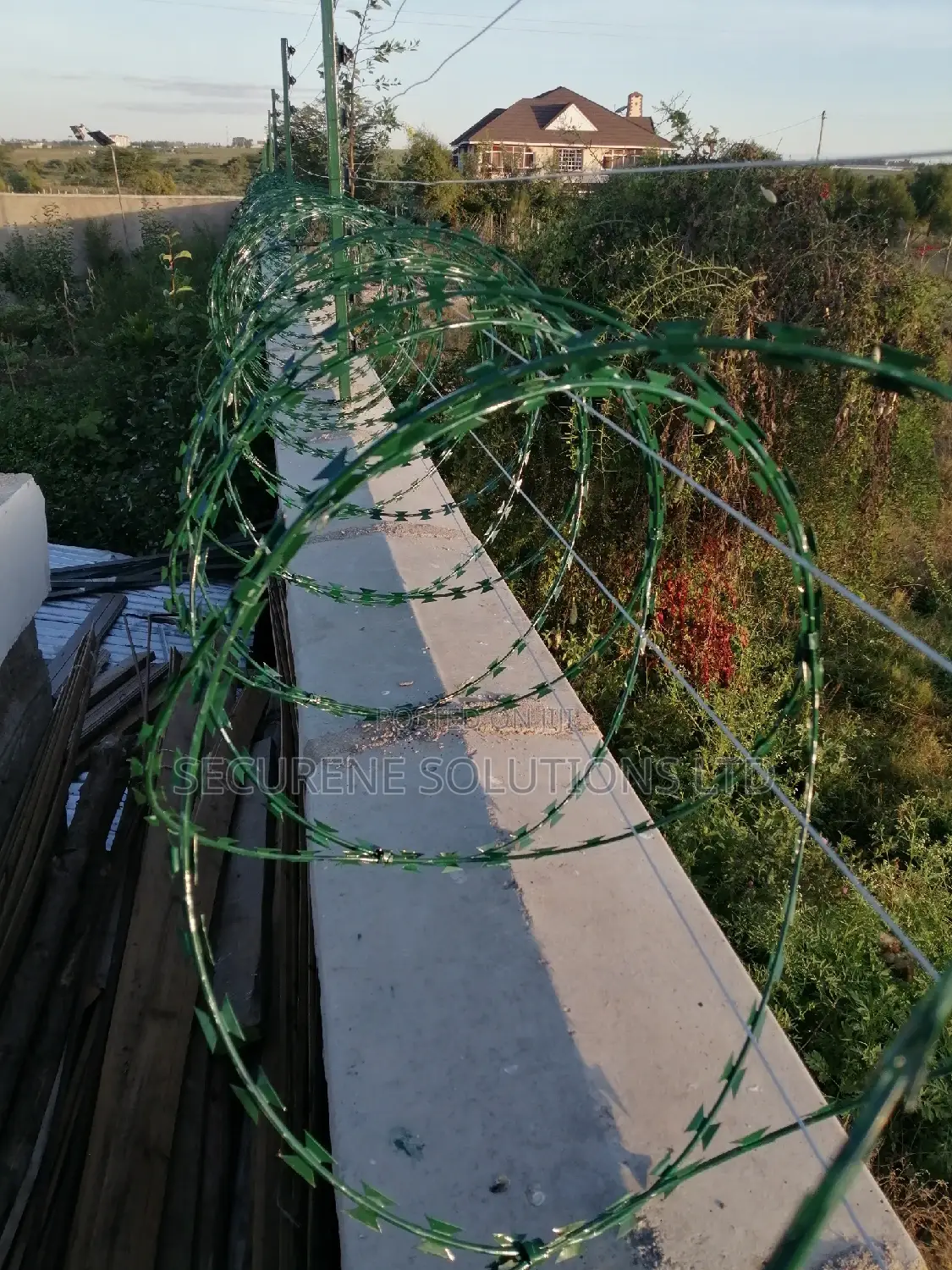 Double Galvanised Green Razor Wire