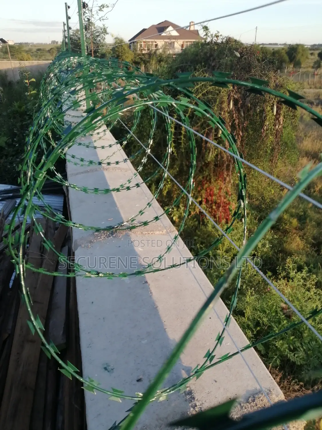 Double Galvanised Green Razor Wire