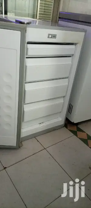 Mini Freezer
