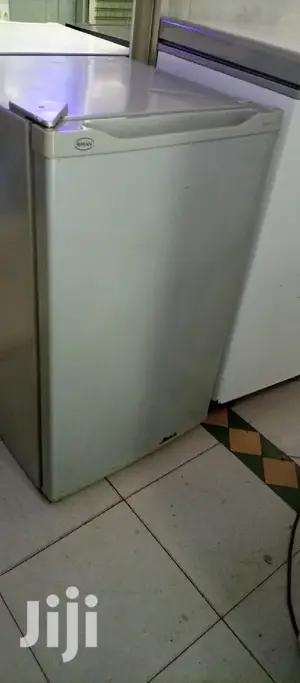 Mini Freezer