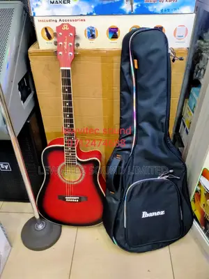 Acoustic Guitar With Bag