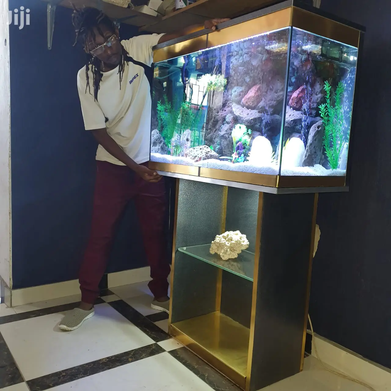 Large & Small Aquariums, Ponds And Water Features