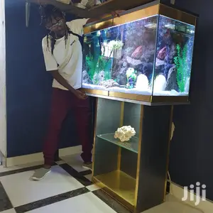 Large & Small Aquariums, Ponds And Water Features