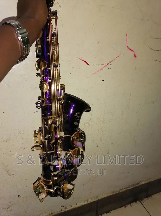 Primier Alto Saxophone 🎷