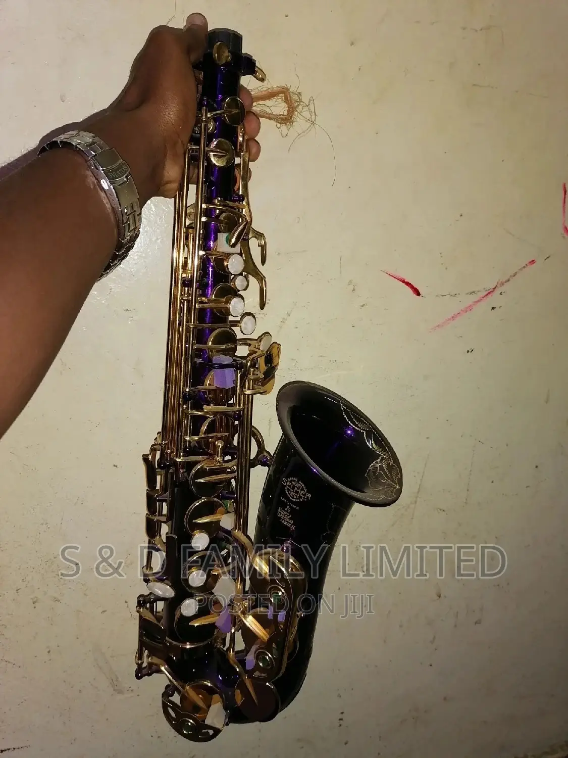 Primier Alto Saxophone 🎷