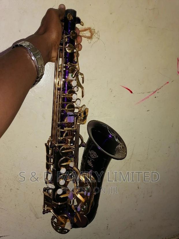 Primier Alto Saxophone 🎷 - thumbnail 2