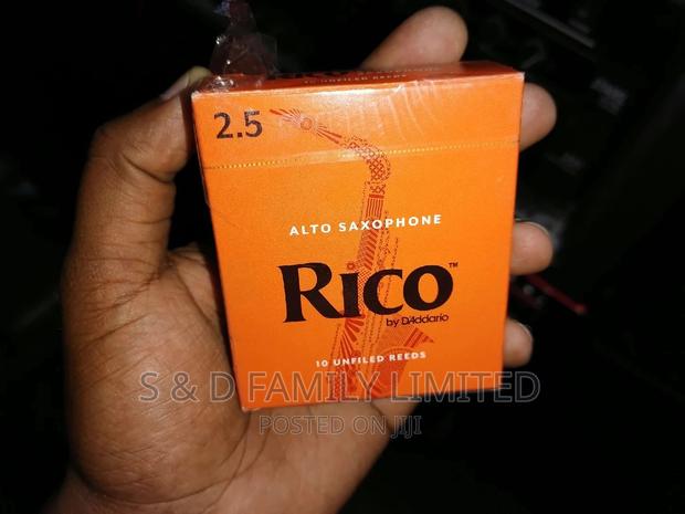 10 Unfilled Alto Saxophone Reeds - main view