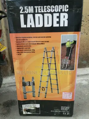 5meters Double Telescopic Ladder