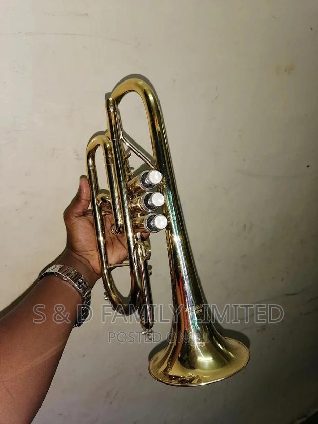 Premier Cornet - thumbnail 2