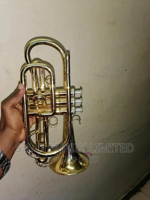 Premier Cornet - thumbnail 3