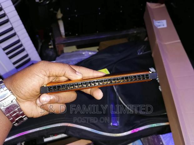 Harmonica 24 Holes - main view