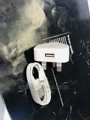 iPhone Charger