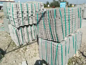 Cabro Pavers