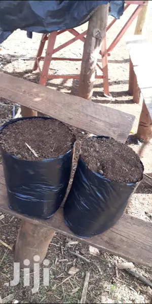 Kitchen Garden Planting Bags