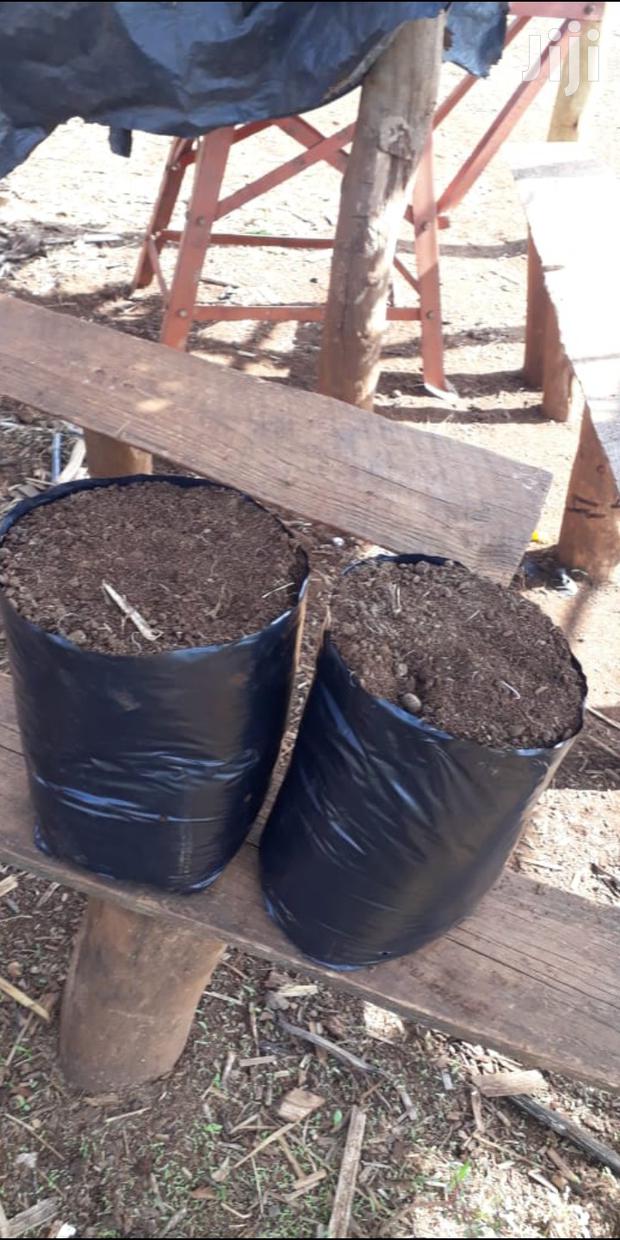 Kitchen Garden Planting Bags - main view