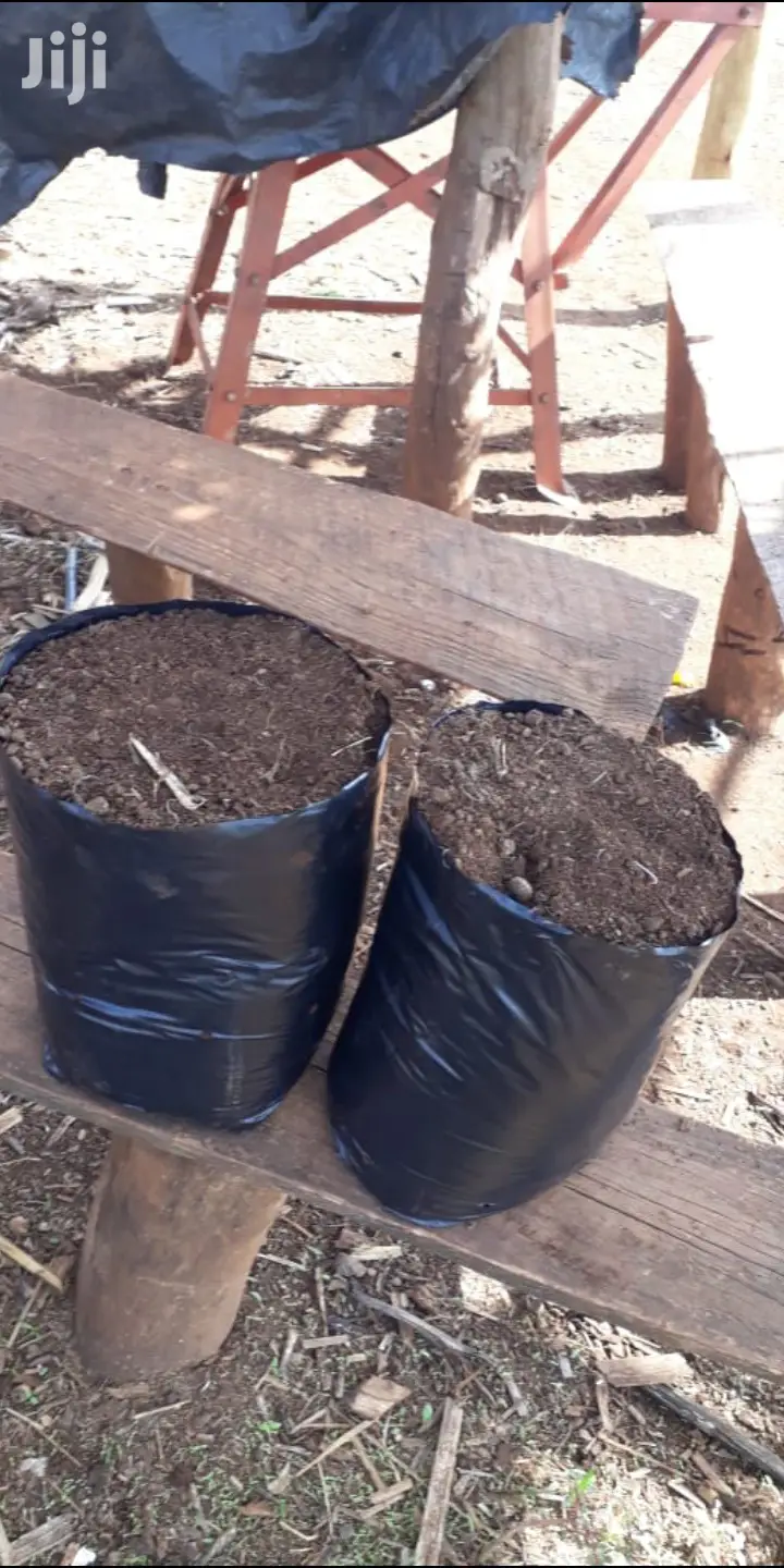 Kitchen Garden Planting Bags