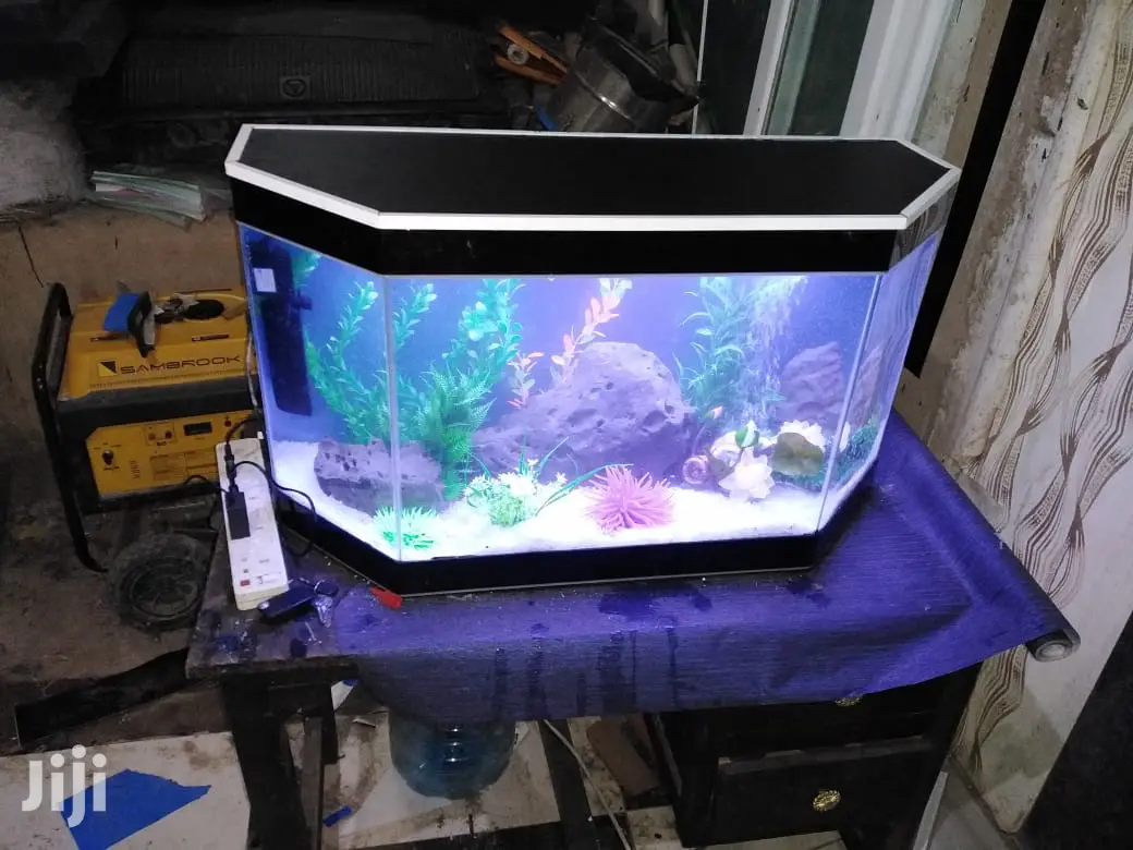 Aquadore Large Aquariums
