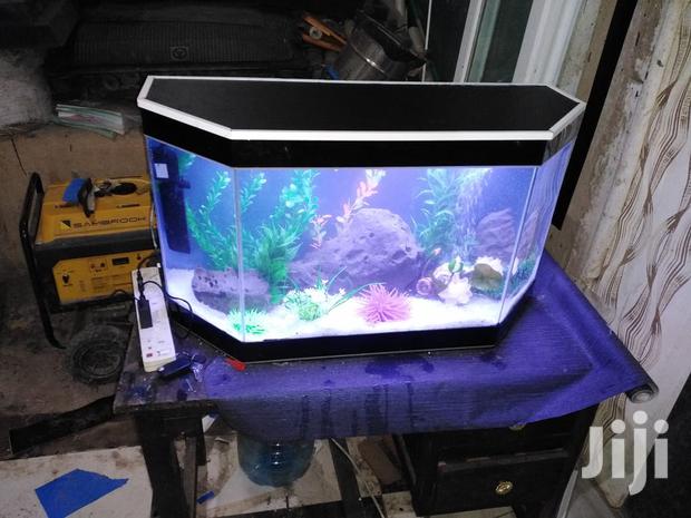 Aquadore Large Aquariums - thumbnail 21