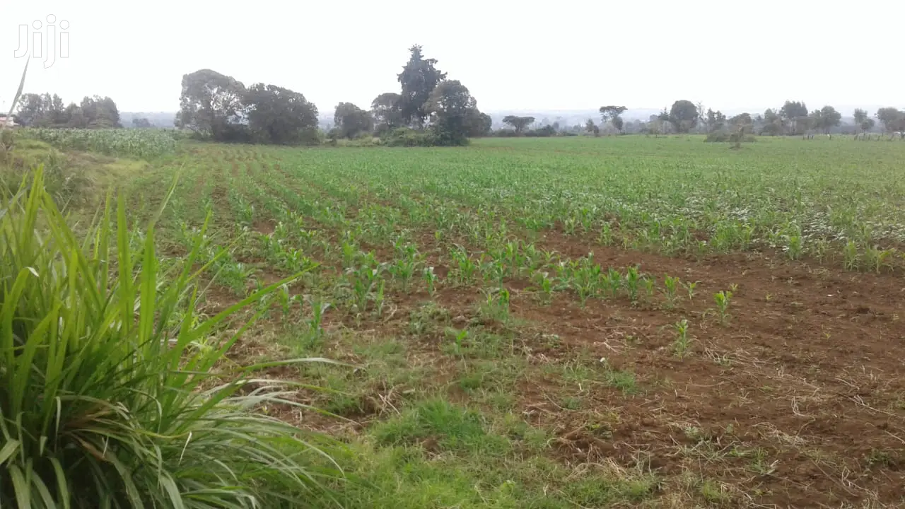 10 Acres of Land for Sale in Njoro Land & Plots for Sale, Martin