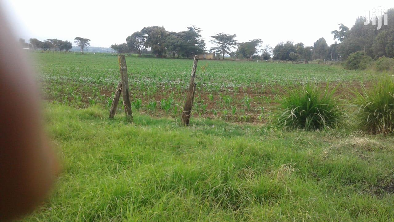 10 Acres of Land for Sale in Njoro Land & Plots for Sale, Martin