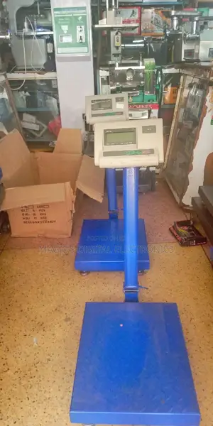 Digital Platform Scale A12