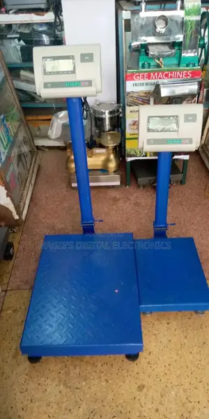 Digital Platform Scale A12