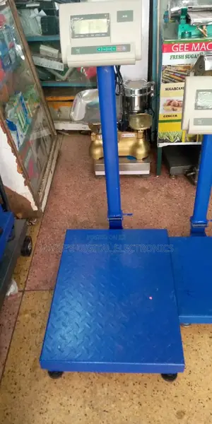 Digital Platform Scale A12